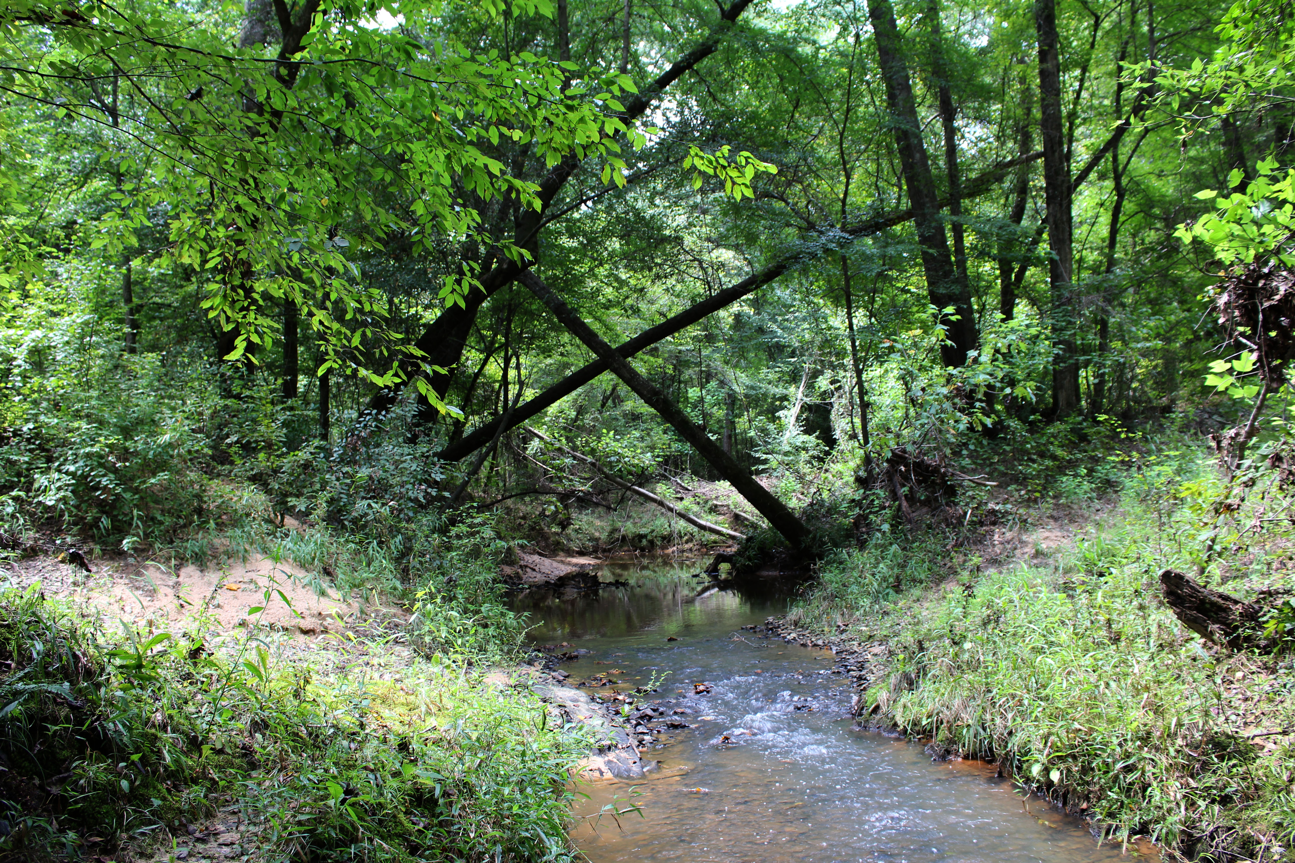 Environmental Pollution and Nutrient Management in Louisiana